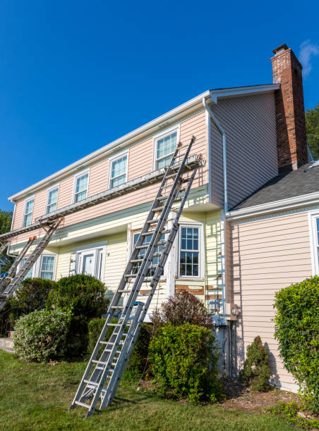 Affordable siding repair and maintenance services in Egypt Lake Leto, FL